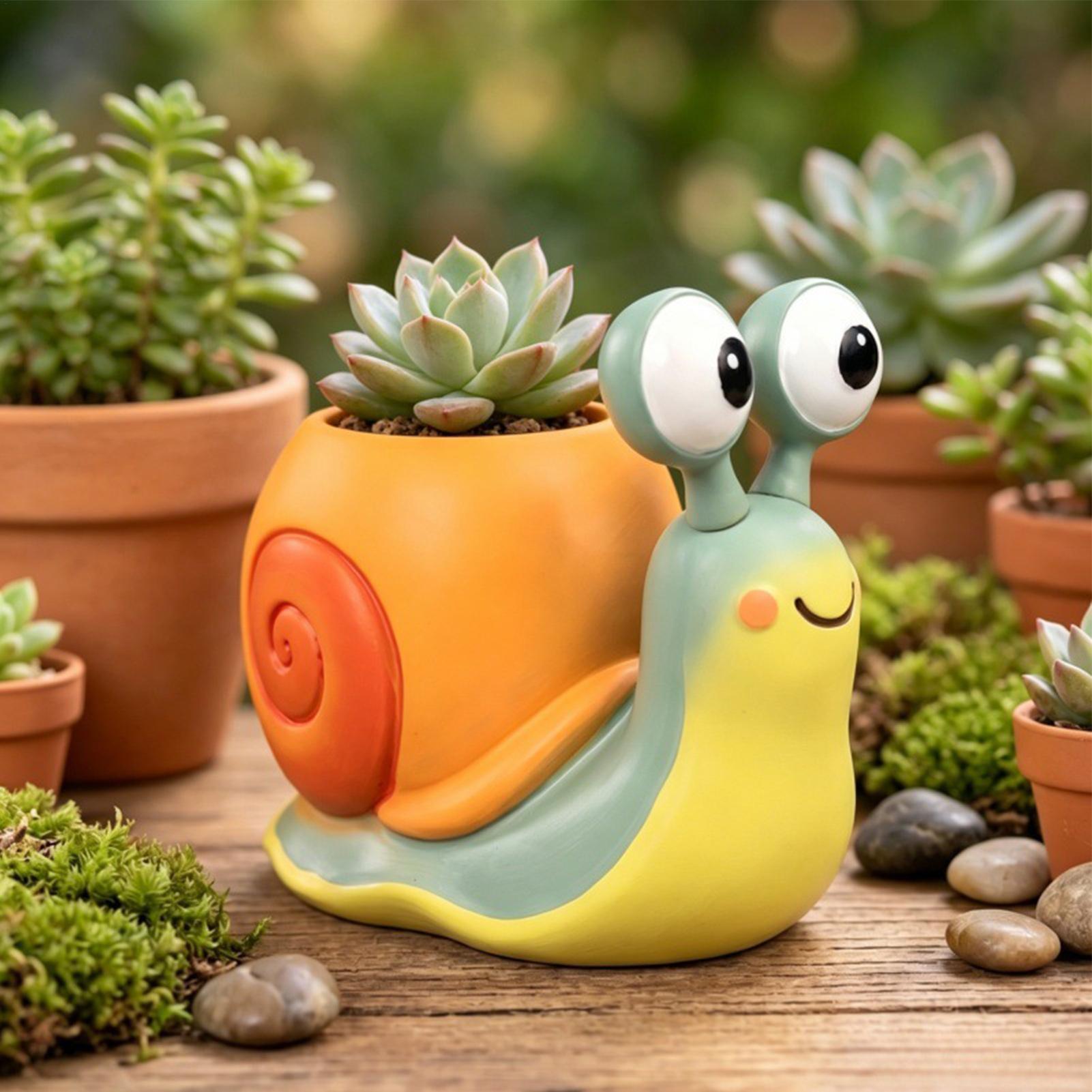 Snail Shape Flower Pot Snail f - Echeveria Succulent ulasan dan harga