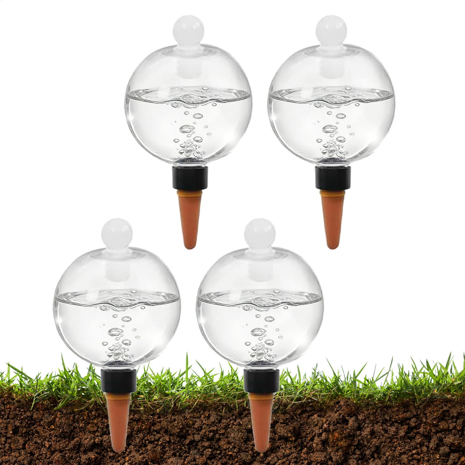 Plant Watering Bulbs 4pcs 500m - Echeveria Succulent ulasan dan harga