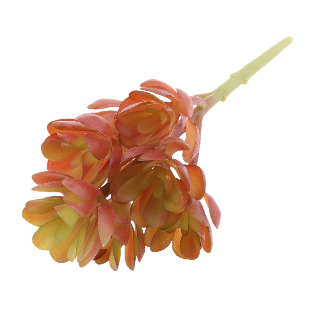 Plastic Artificial Succulents  - Echeveria Succulent ulasan dan harga