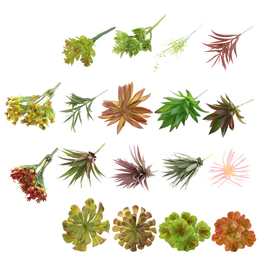 Plastic Artificial Succulents  - Echeveria Succulent ulasan dan harga