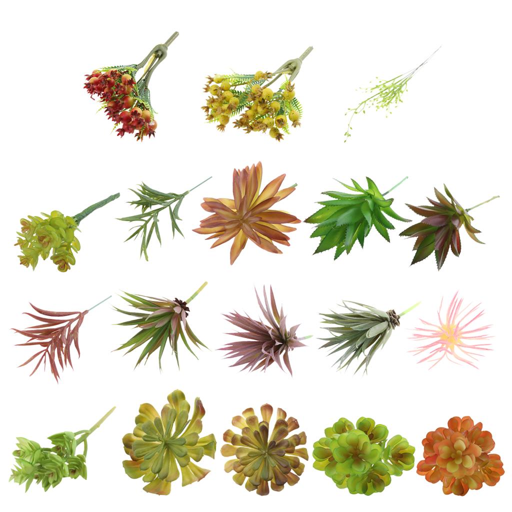 Plastic Artificial Succulents  - Echeveria Succulent ulasan dan harga