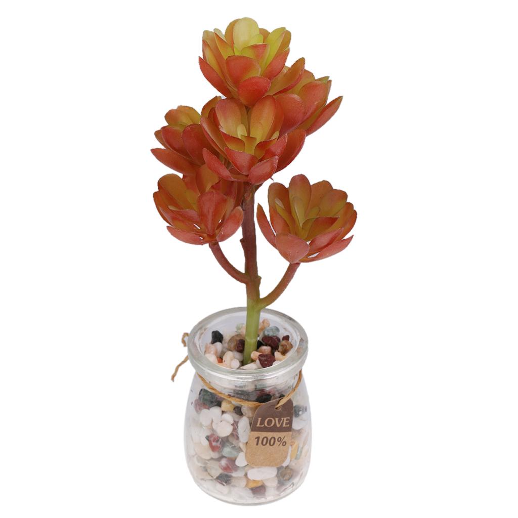 Plastic Artificial Succulents  - Echeveria Succulent ulasan dan harga