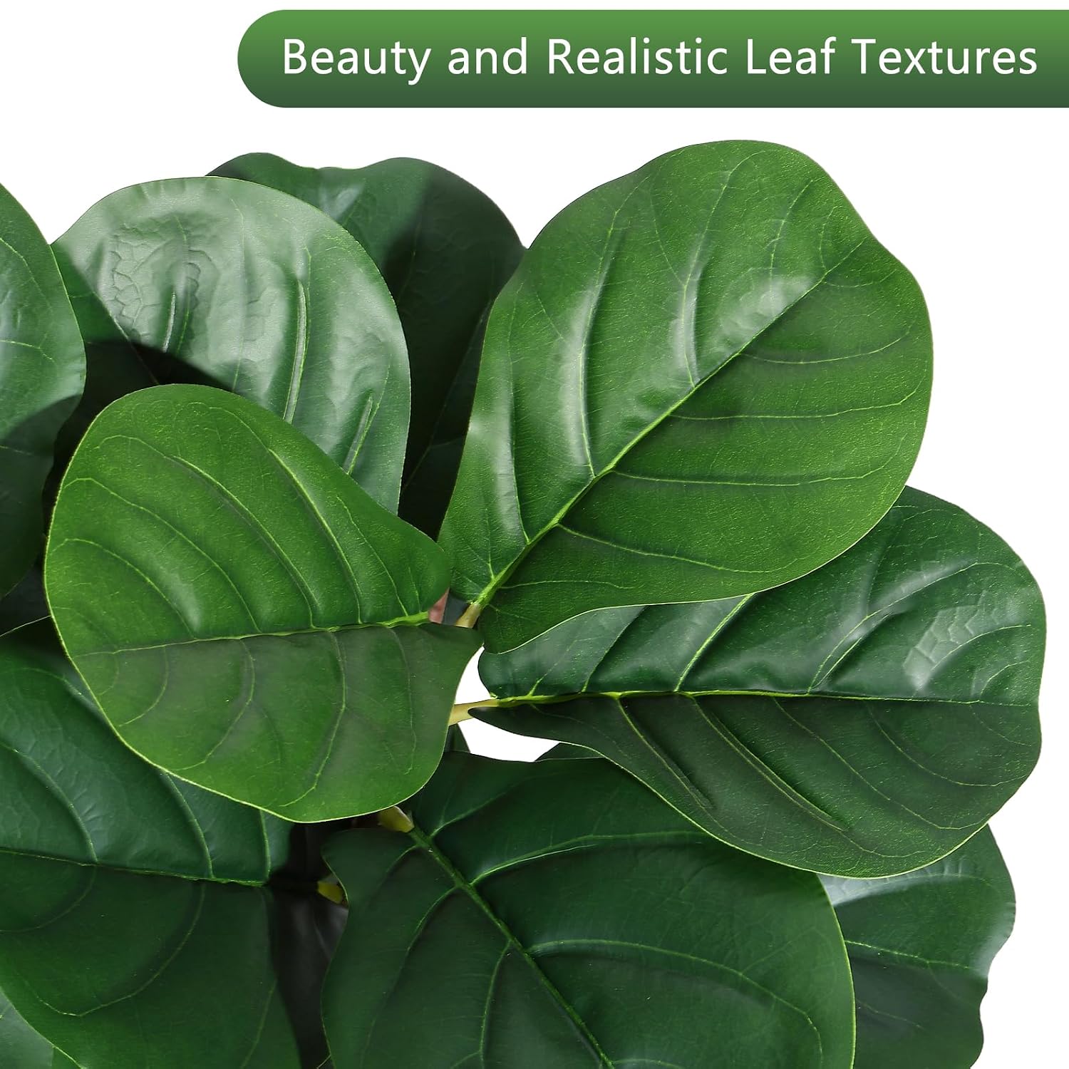 4 ft Fiddle Leaf Fig Tree Arti - Ficus Lyrata Tree ulasan dan harga