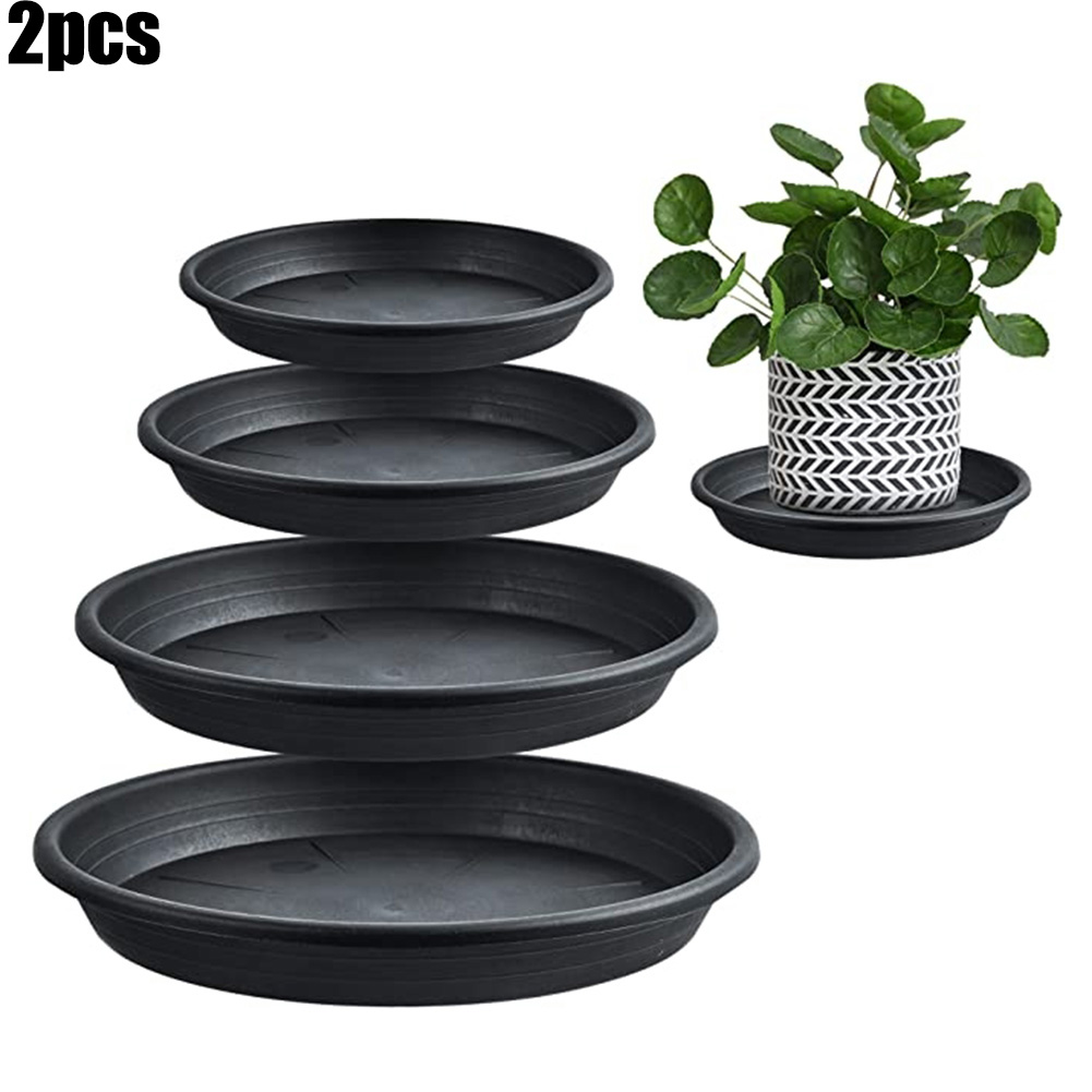 2pcs Plant Trays Round Succule - Echeveria Succulent ulasan dan harga