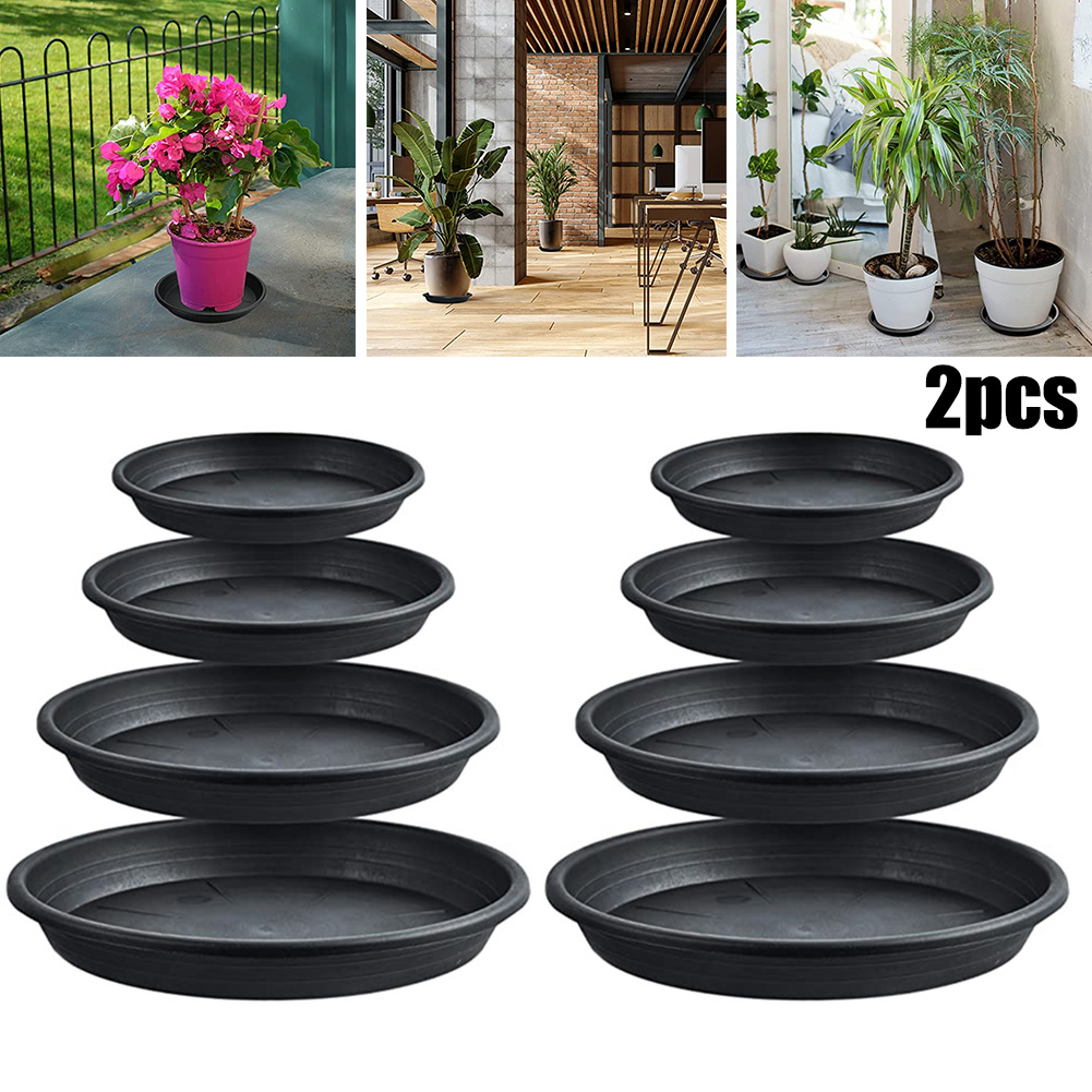 2pcs Plant Trays Round Succule - Echeveria Succulent ulasan dan harga