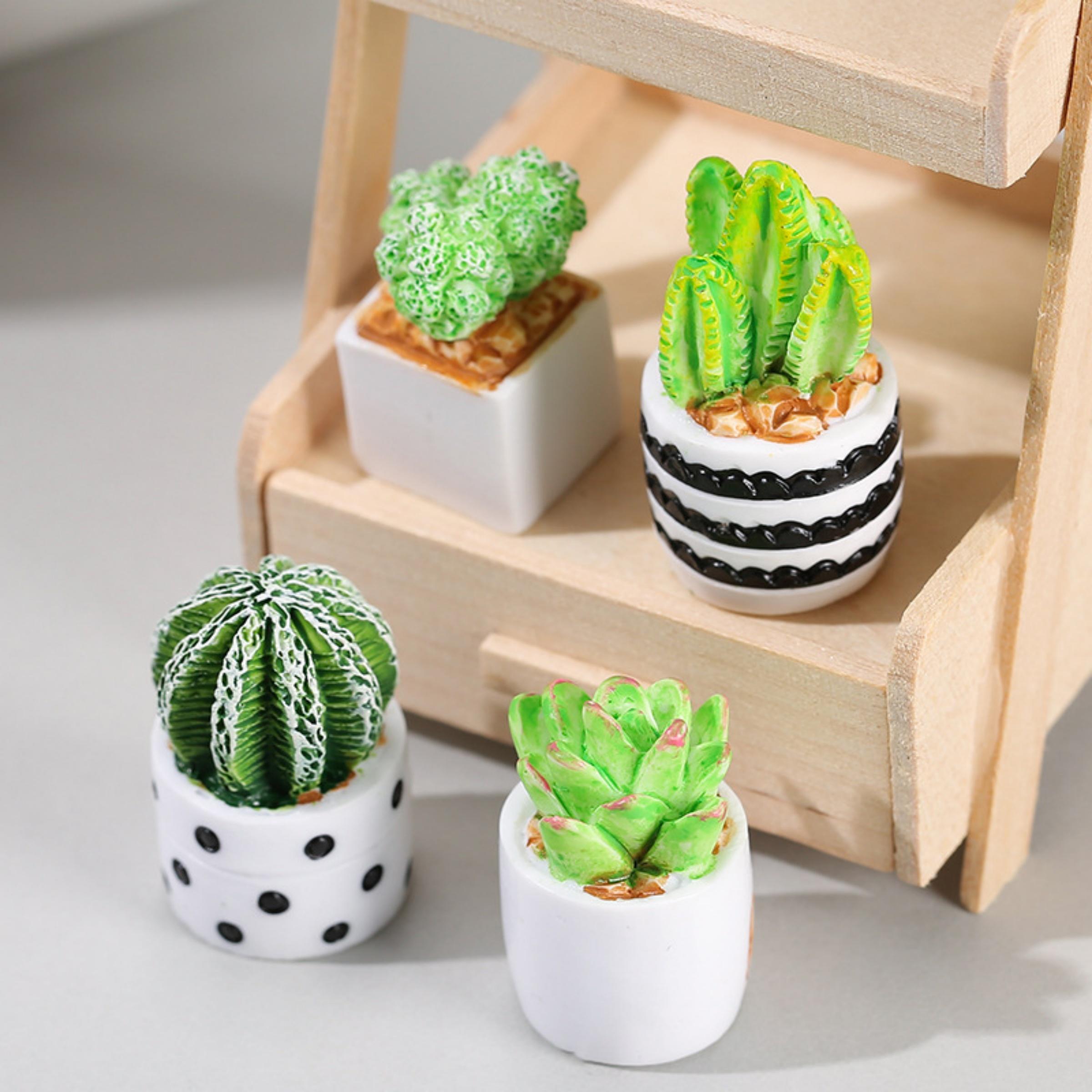 4-Piece Set of Cactus Succulen - Echeveria Succulent ulasan dan harga