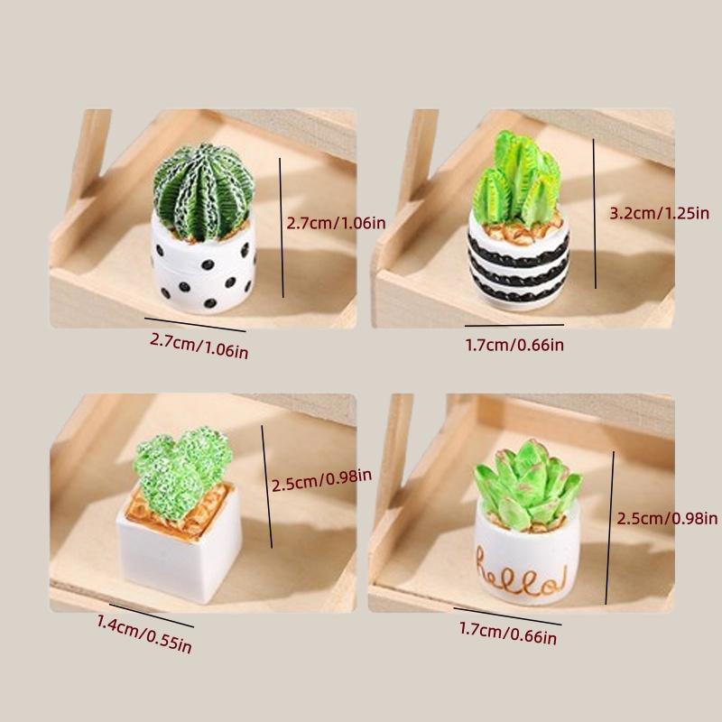 4-Piece Set of Cactus Succulen - Echeveria Succulent ulasan dan harga