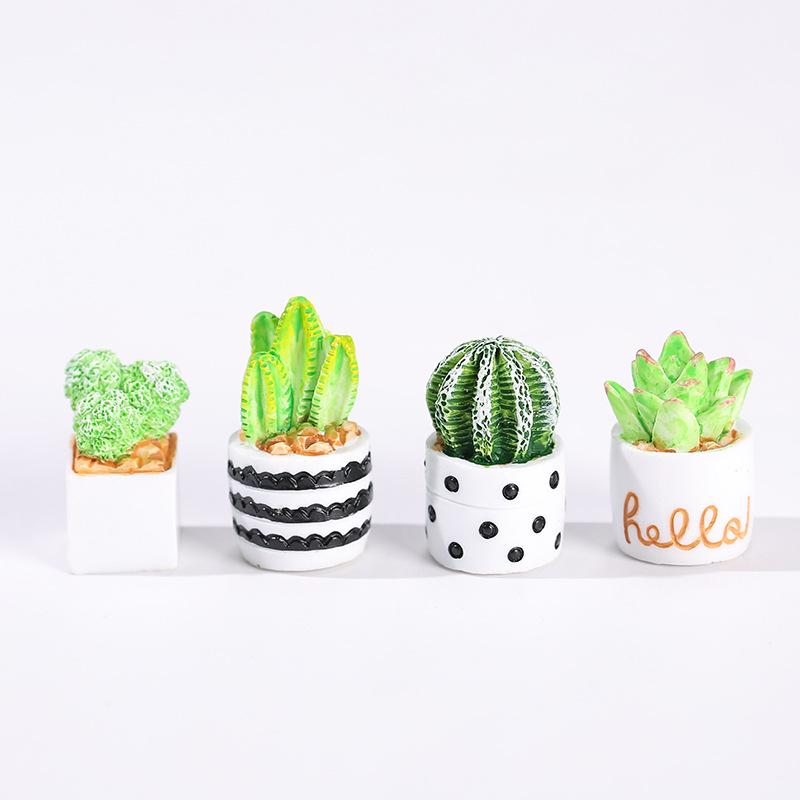 4-Piece Set of Cactus Succulen - Echeveria Succulent ulasan dan harga