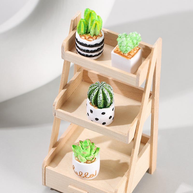 4-Piece Set of Cactus Succulen - Echeveria Succulent ulasan dan harga